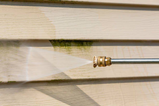 Best House Pressure Washing  in Dry Ridge, OH